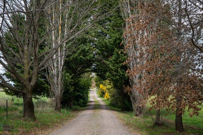 /international/au/584-huntley-road-huntley-nsw-700399108/