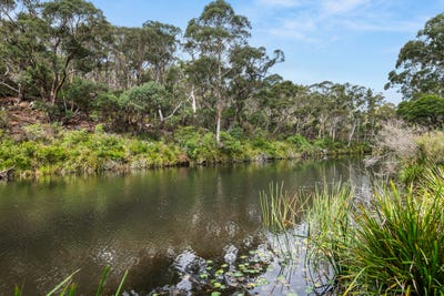 /international/au/147-webbs-road-braidwood-nsw-700404620/