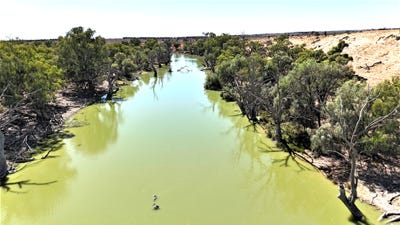 /international/au/high-darling-road-wentworth-nsw-700367480/?lang=zh-tw