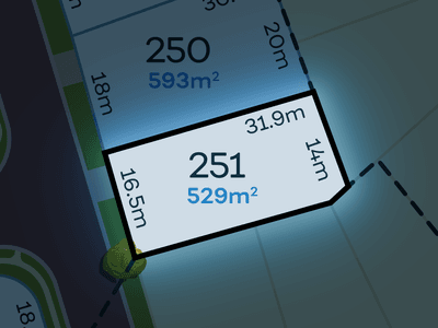 /international/au/lot-251-tolmount-street-walloon-qld-204663488/