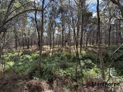 /international/au/lot-143-blackbutt-road-sugarloaf-qld-204515176/