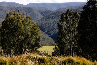 /international/au/214-eaglehawk-trail-yarrowitch-nsw-700367216/?lang=es