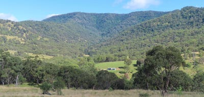 /international/au/1060-dry-creek-rd-scone-nsw-700407060/