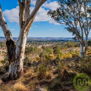 /international/au/678-sheldricks-lane-manton-nsw-204524280/