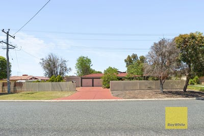 /international/au/17-golden-crescent-high-wycombe-wa-152648872/
