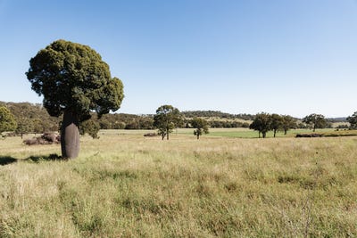 /international/au/414-red-tank-road-boyneside-qld-700405676/