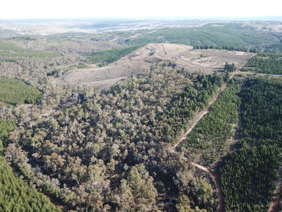 /international/au/274-hintons-road-isabella-nsw-700368296/?lang=es
