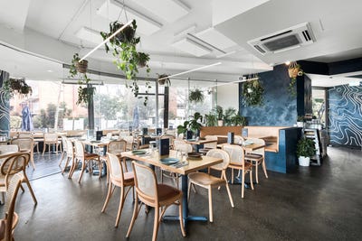 /international/au/shop-2-201-ormond-road-elwood-vic-505223576/
