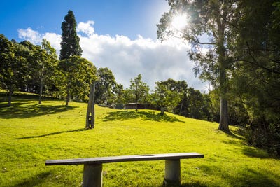 /international/au/222-worlands-road-tanja-nsw-700409836/