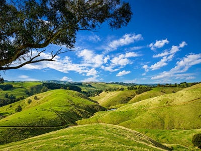 /international/au/86-mcnaughtons-road-wild-dog-valley-vic-700412276/