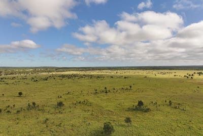/international/au/5074-alpha-tambo-road-alpha-qld-700404508/