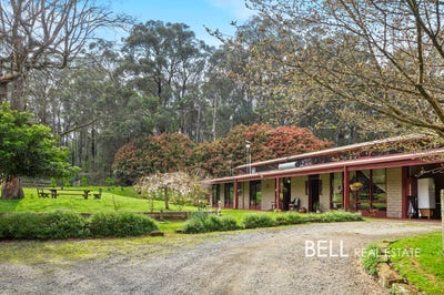 /international/au/70-warwick-road-gembrook-vic-152490704/
