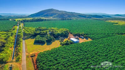 /international/au/1597-chewko-road-walkamin-qld-700410916/