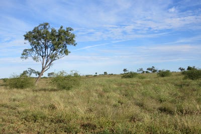 /international/au/715-royston-lane-longreach-qld-700367004/?lang=fr