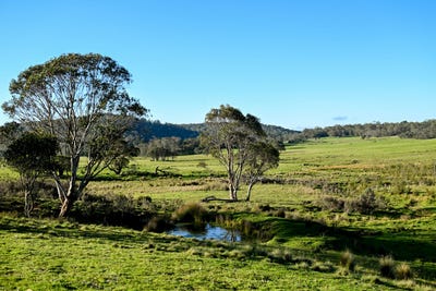 /international/au/-snowy-flat-lot-29-kydra-fire-trail-kybeyan-nsw-700407456/