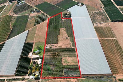 /international/au/lot-55-old-cooltong-avenue-renmark-sa-204517336/