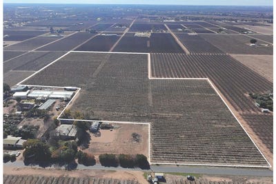 /international/au/lot-46-twentyeighth-street-renmark-sa-204275360/?lang=en