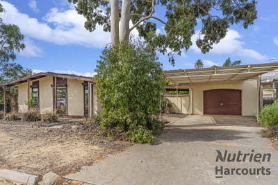 /international/au/4-collins-street-barmera-sa-151334904/