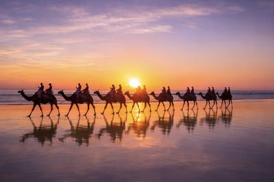 /international/au/14-cable-beach-road-west-cable-beach-wa-505100136/