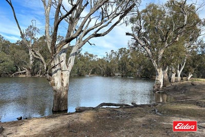 /international/au/113-perricoota-forest-road-moama-nsw-700241224/