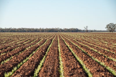 /international/au/6210-carnarvon-highway-thallon-qld-700413356/