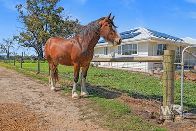 /international/au/447-crockerup-road-mount-barker-wa-152412640/