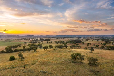 /international/au/705-springfield-lane-gulgong-nsw-700409140/