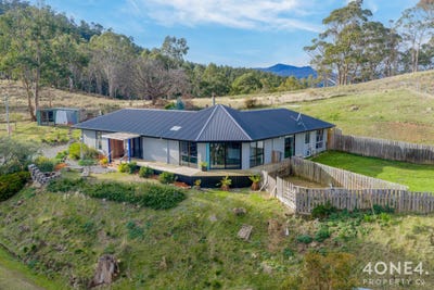 /international/au/4-braslins-road-black-hills-tas-151489904/