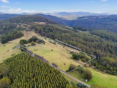 /international/au/hoares-road-wilmot-tas-700410488/