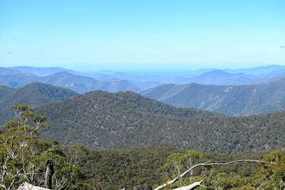 /international/au/-tozers-lot-96-greenslands-road-kydra-fire-trail-kybeyan-nsw-700407440/