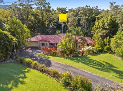 /international/au/49-birdlife-court-nerang-qld-151436252/