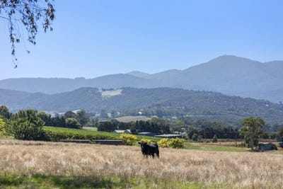 /international/au/12-maddens-lane-coldstream-vic-204459288/