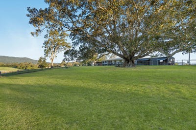 /international/au/45-biddaddaba-road-boyland-qld-151401080/