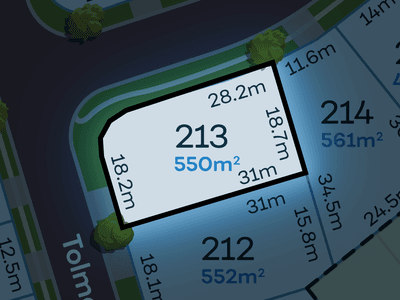 /international/au/lot-213-tolmount-street-walloon-qld-204564888/