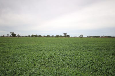 /international/au/34-stone-lane-rochester-vic-700402564/