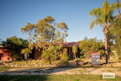/international/au/6-madison-terrace-roma-qld-151348952/