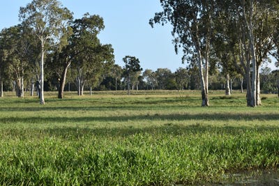 /international/au/174-habana-wharf-road-habana-qld-700412048/