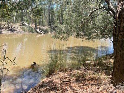 /international/au/629-clearfield-road-clearfield-nsw-700285396/
