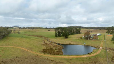 /international/au/-camena-12921-kempsey-road-armidale-nsw-700409432/