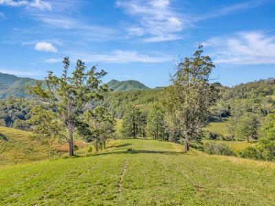 /international/au/81-kestrel-road-burrapine-nsw-700412976/