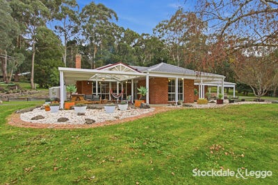 /international/au/81-tebb-terrace-jeeralang-junction-vic-151566256/