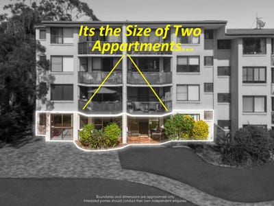 /international/au/1-40-murev-way-carrara-qld-151357688/