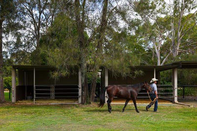 /international/au/86-bellay-road-beachmere-qld-150988120/
