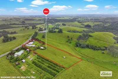 /international/au/1662-millaa-millaa-malanda-road-jaggan-qld-150651548/