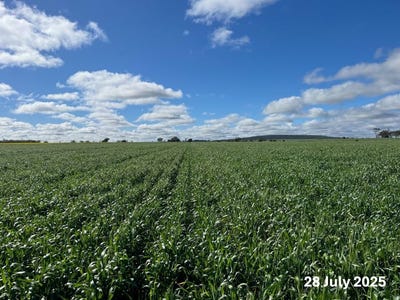 /international/au/207-wilgaroi-road-bellata-nsw-700364092/?lang=en