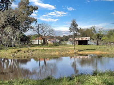 /international/au/3-pestells-lane-young-nsw-152520684/