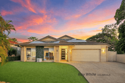 /international/au/11-stevenson-street-calamvale-qld-150839832/