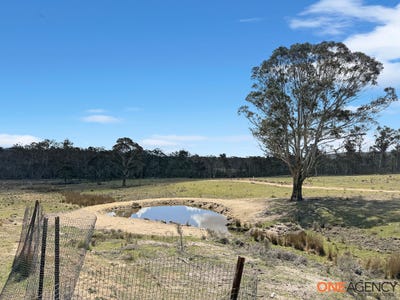 /international/au/137-tuross-road-countegany-nsw-700429140/