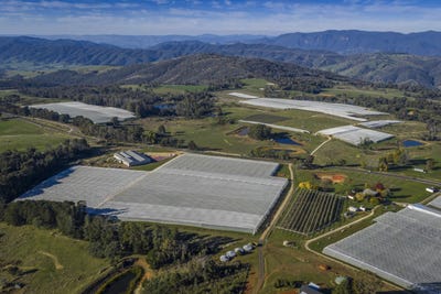 /international/au/98-mill-road-batlow-nsw-700408744/