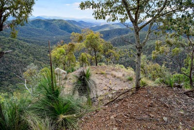/international/au/mount-coora-road-black-snake-qld-700369128/?lang=it